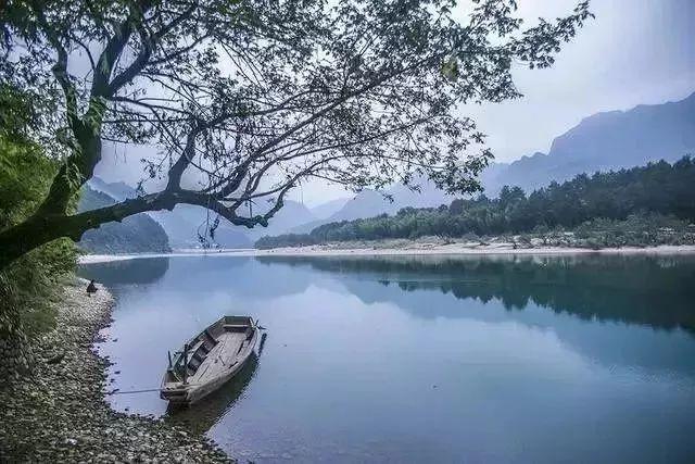 去年重庆有127人被终生禁驾,最大年龄66岁