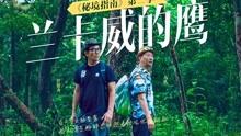 幽浮飞碟