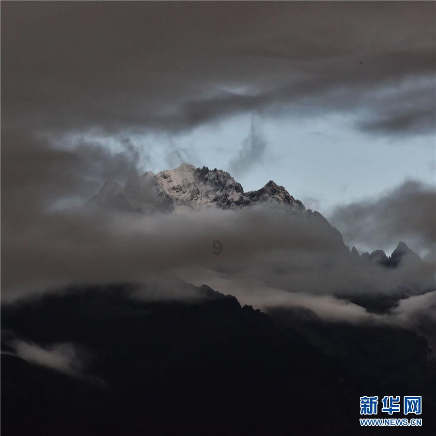 孤独的流浪者救援