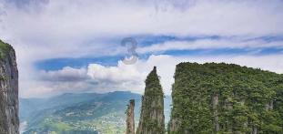 缤纷水果茶无敌版