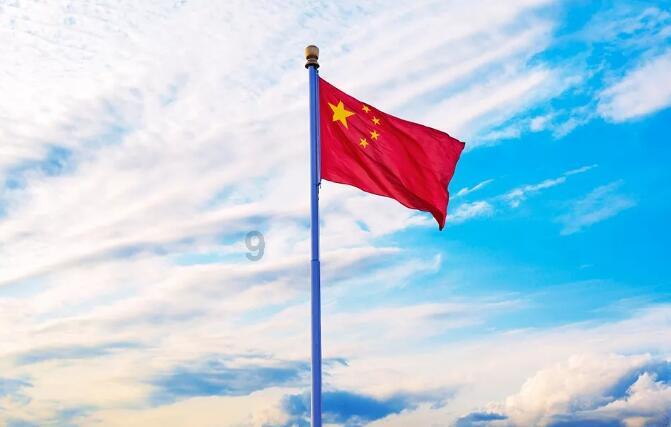 救援呆萌的猫