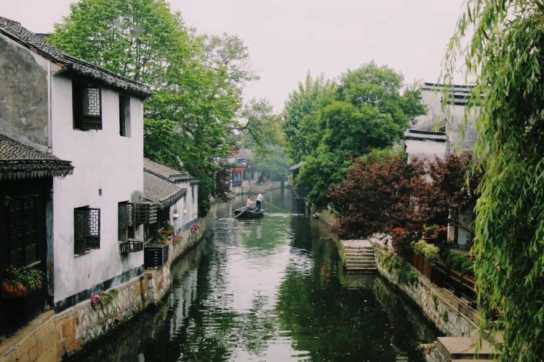 救援受困的长颈鹿